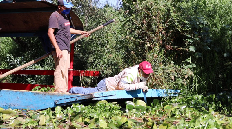 Arranca mega jornada de limpieza de canales en Xochimilco