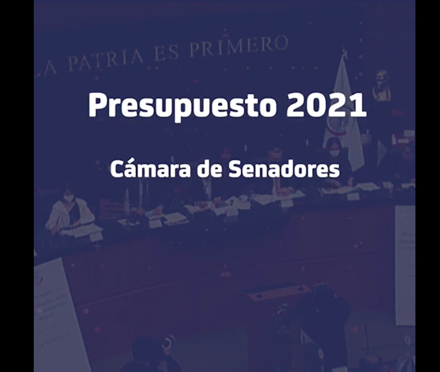 Presupuesto 2021, Cámara de Senadores