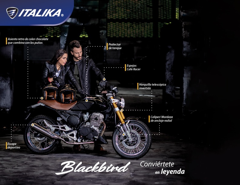 ITALIKA presenta una motocicleta Cafe Racer, la nueva Blackbird