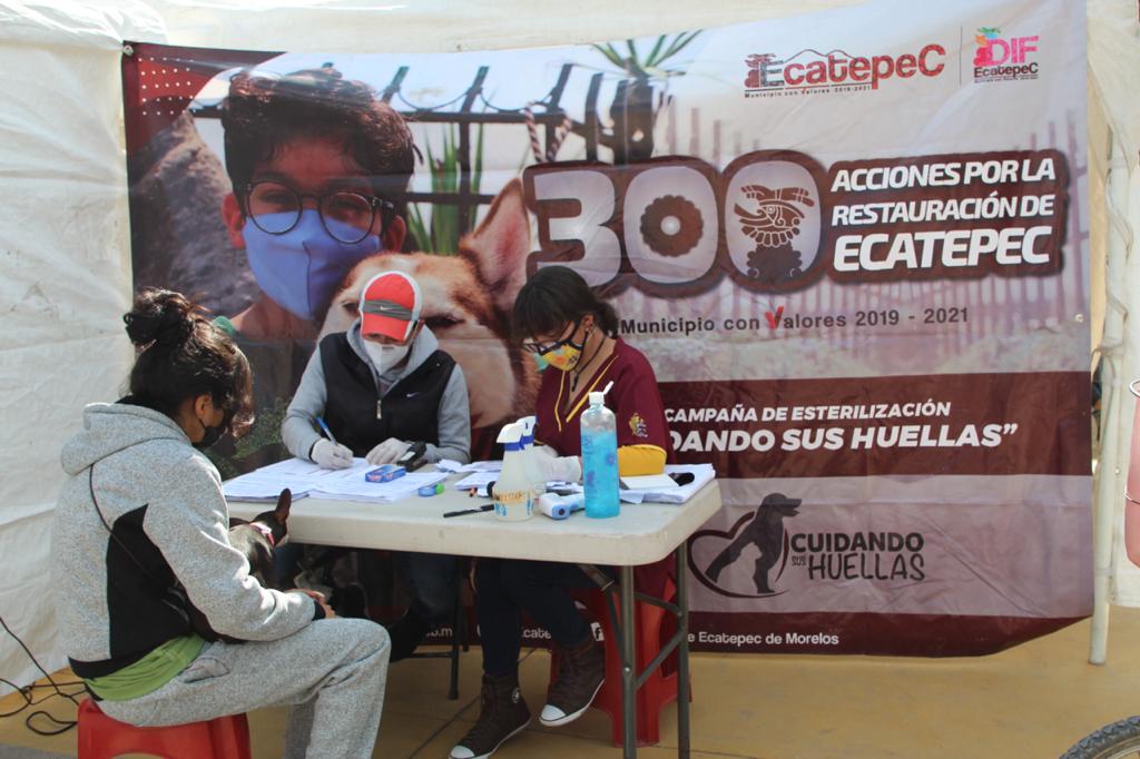 Inicia campaña de esterilización de mascotas en 17 comunidades de Ecatepec