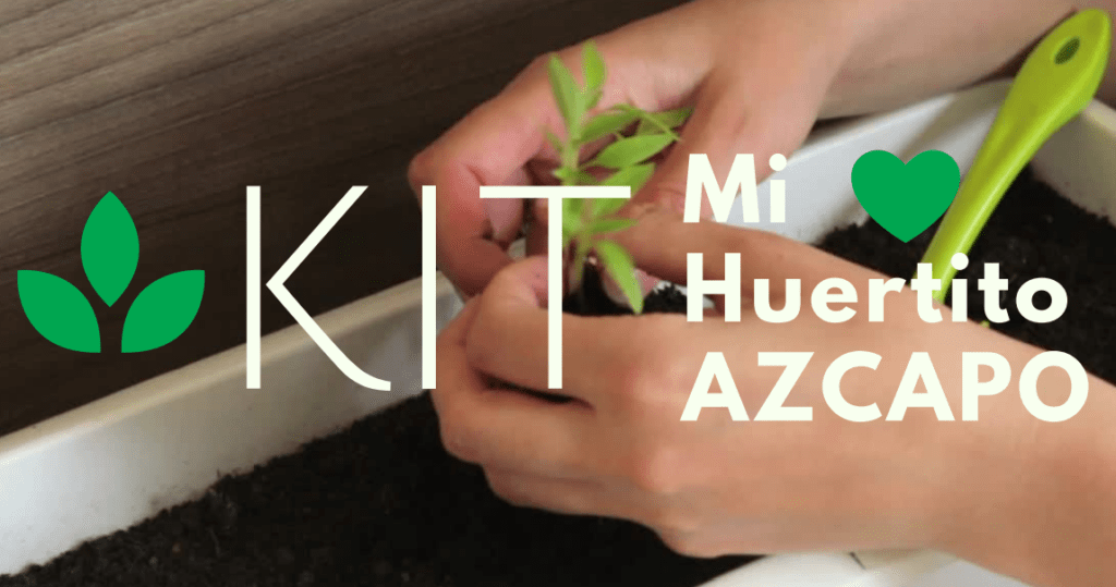 Apuestan a huertos urbanos para fomentar la sustentabilidad de Azcapotzalco