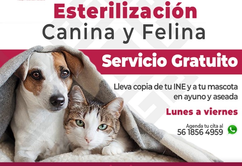 Gobierno de Coacalco mantiene acciones para el bienestar animal
