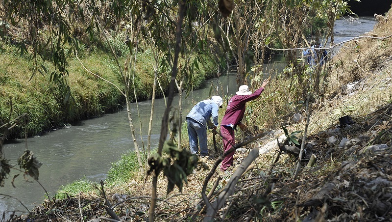 Para prevenir inundaciones, gobierno de Coacalco limpia canal de cartagena