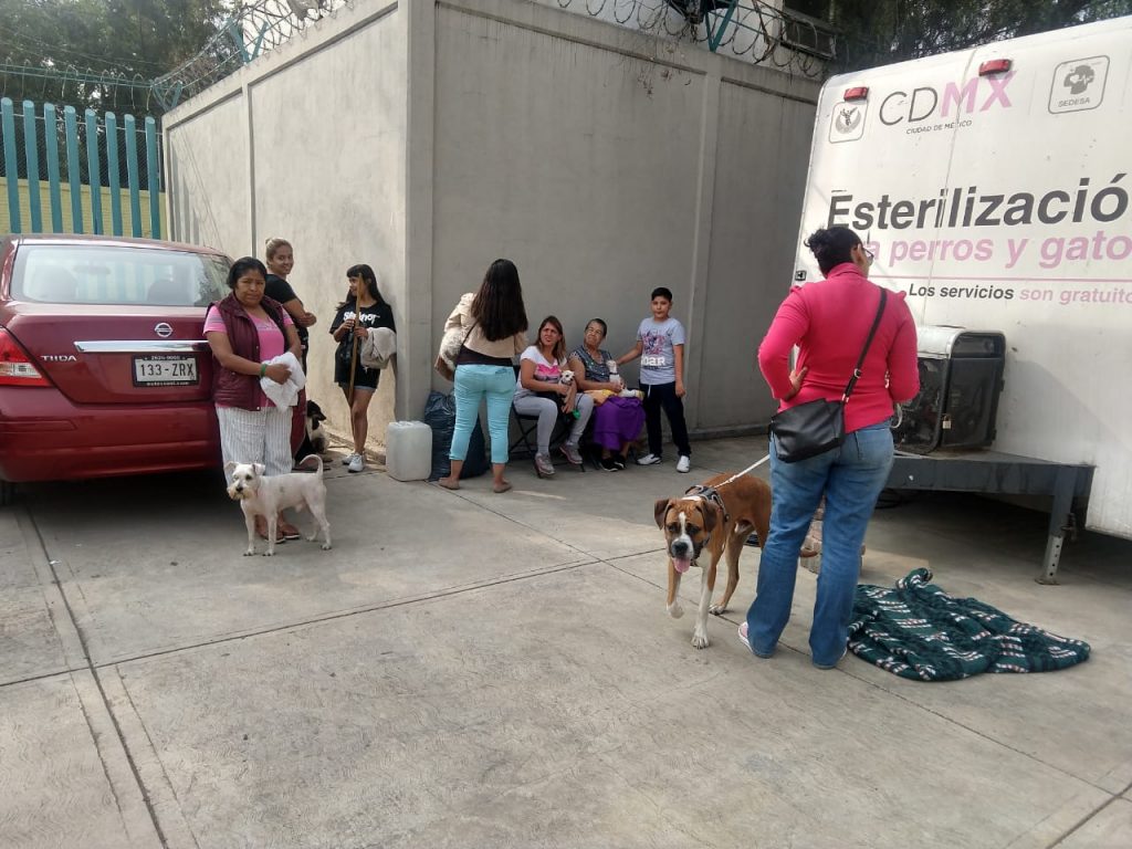 Reanuda esterilizaciones el Centro de Control Canino de Azcapo