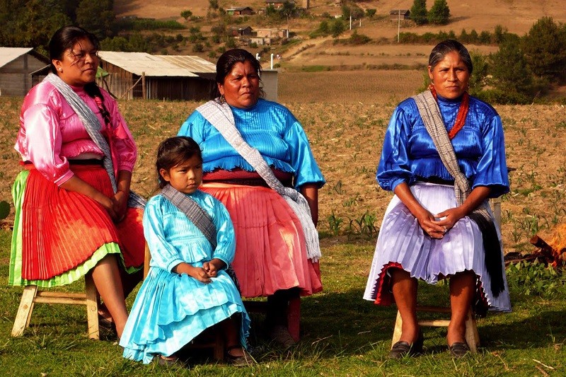 Conocimiento tradicional de pueblos indígenas se sumará al científico para enriquecer estrategia sobre sistemas alimentarios