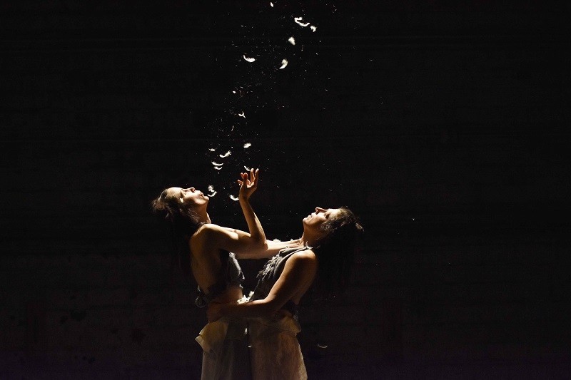 El Cenart participa como sede del Festival Internacional de Danza Contemporánea de la Ciudad de México 2021