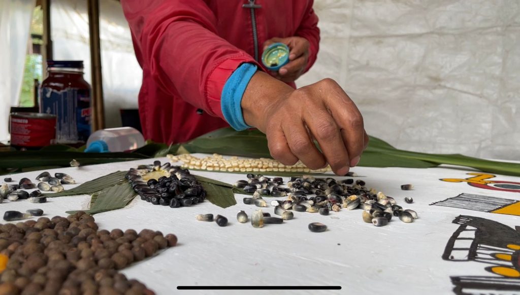 Xochimilcas elaboran Tlalmanalli para el Centro Histórico de la CDMX