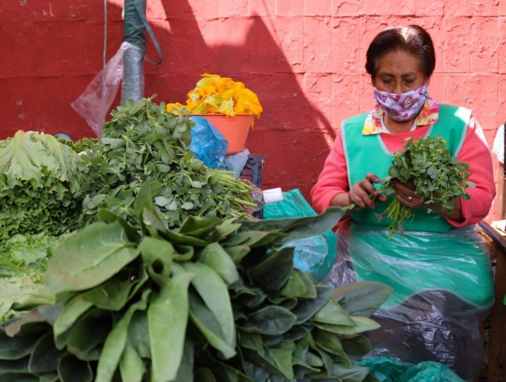 Otorgan a chinamperos permiso para comercializar sus hortalizas en plazas públicas