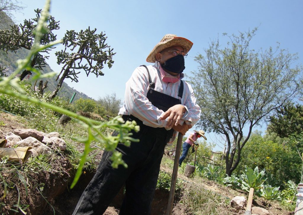 Ecatepec crea Jardín de Polinizadores para rescatar a mariposas en peligro de extinción