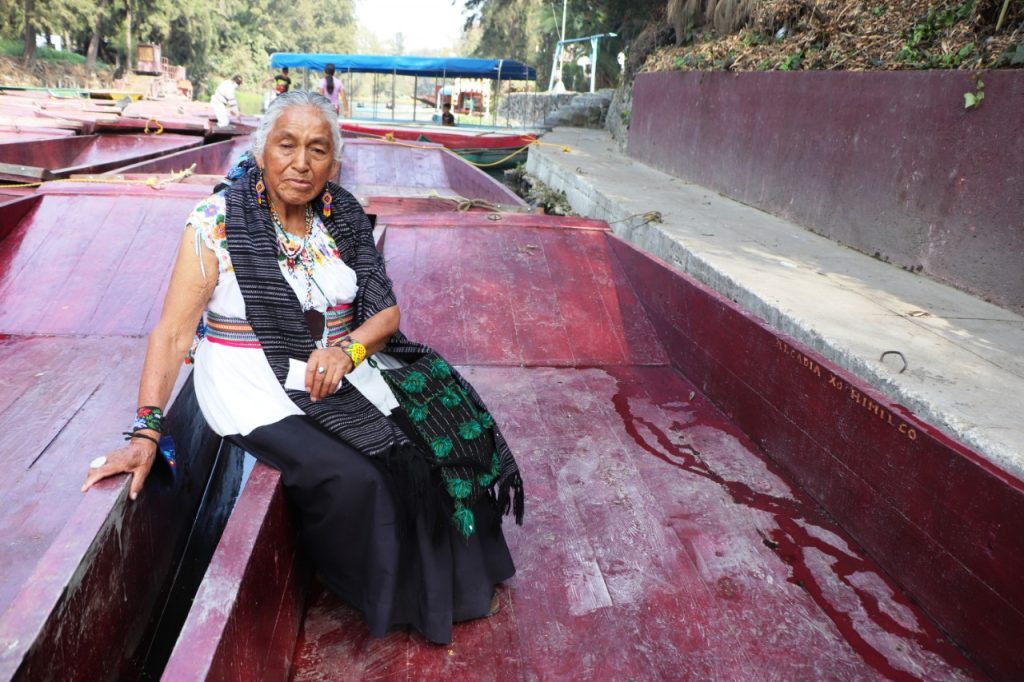 Renace Xochimilco, sus chinampas están llenas de flores y hortalizas