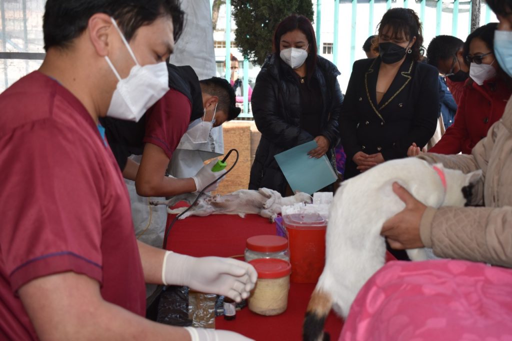 Inician Jornada de esterilización canina en Tlalnepantla