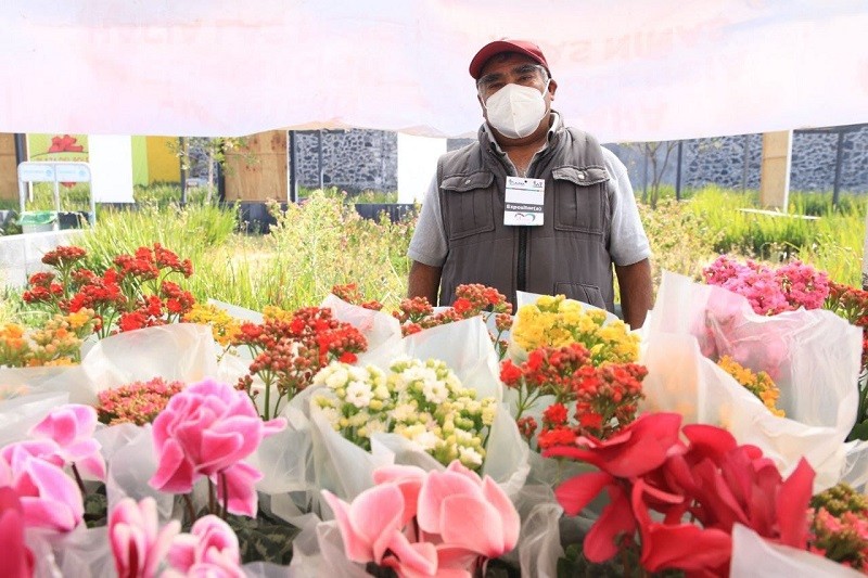 Tlalpan fomenta reactivación económica con feria de flores y boleros