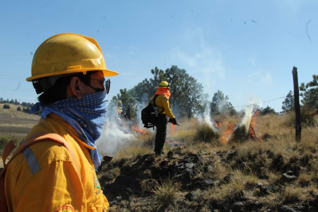 Se alista Tlalpan para atender incendios forestales