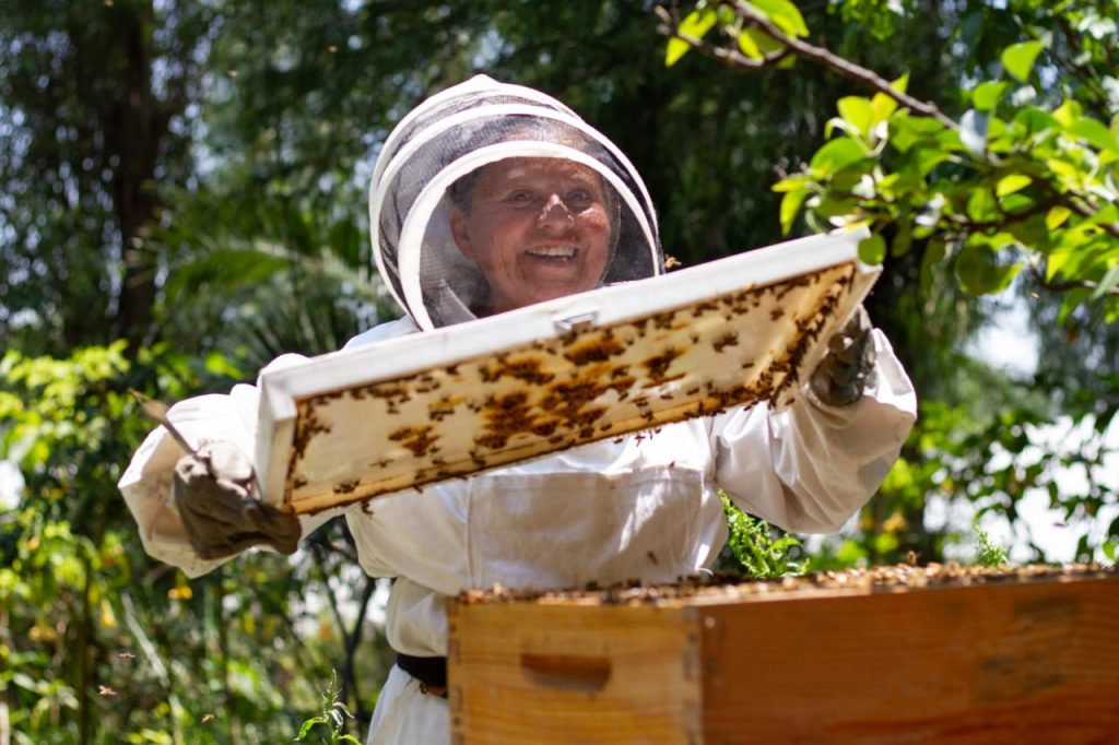 Busca SEDEMA preservar labor ecosistémica de las abejas en suelo de conservación