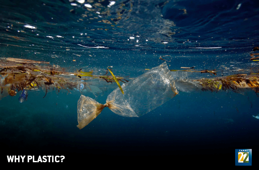 Canal 22 estrena la serie Why Plastic?,en el marco del Día Mundial del Medio Ambiente