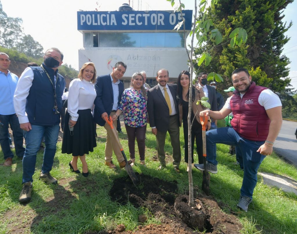 Salvaran a 200 arbolitos por obra en Chiluca, Atizapán de Zaragoza