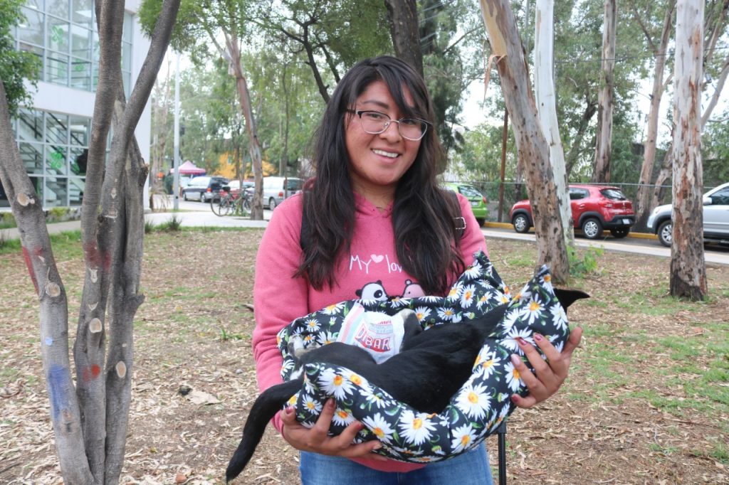Esterilización de animales gratuita en Xochimilco para evitar su abandono en vía pública