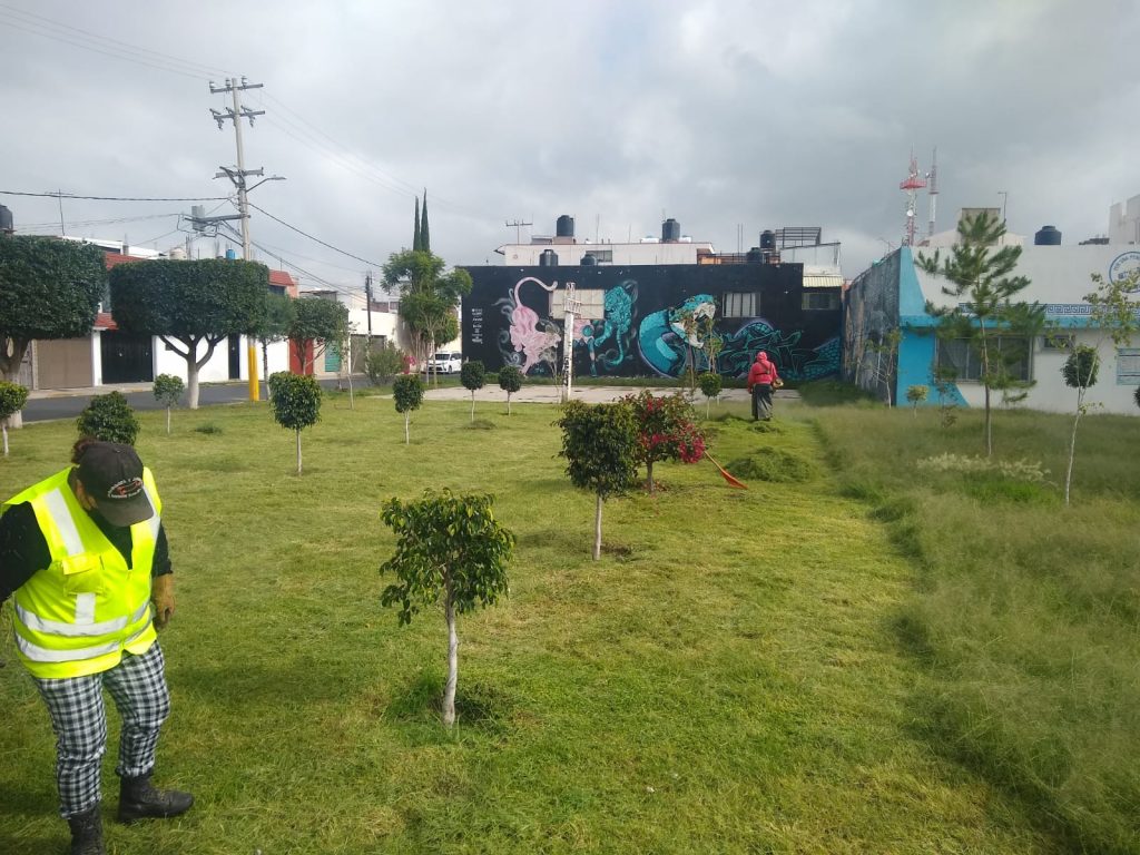 Gobierno municipal continúa reforestando comunidades de Texcoco