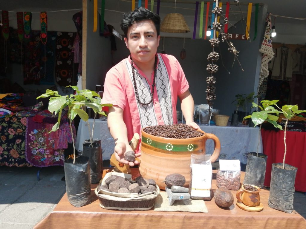 Llegan a Xochimilco médicos tradicionales y herbolarios