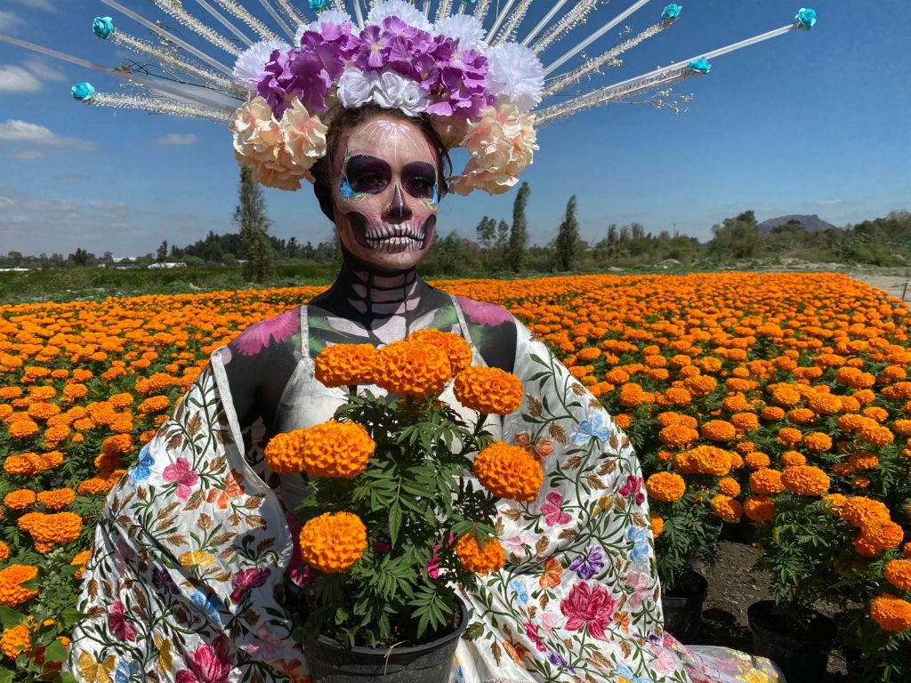 Reporta Xochimilco millones de plantas de cempasúchitl para temporada de día de muertos