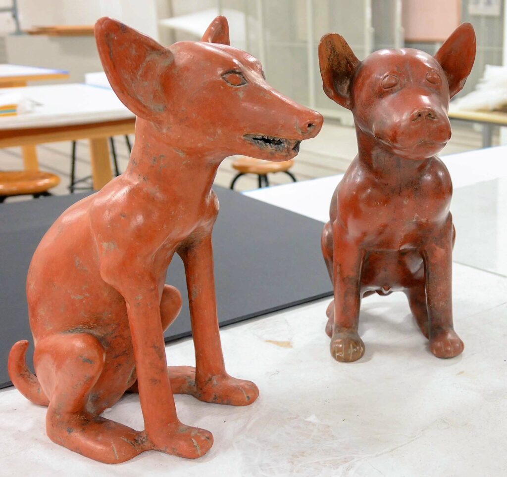 Exhiben Xolos, compañeros de viaje, en el Museo de las Culturas de Oaxaca; llegan dos nuevas esculturas