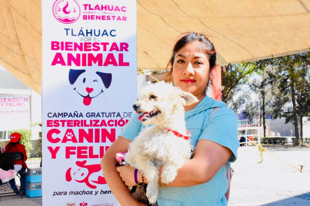 Jornada intensa de esterilizacicón canina y felina en Tláhuac