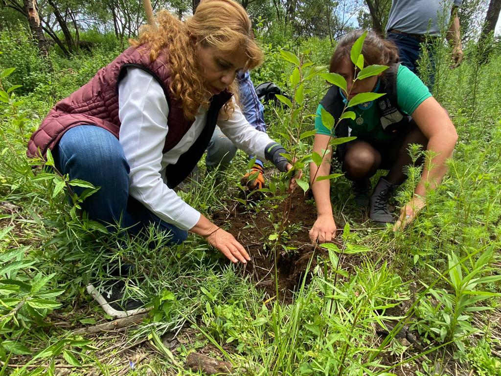 Alcaldesa Judith Vanegas arranca jornada de reforestación 2023 en Milpa Alta