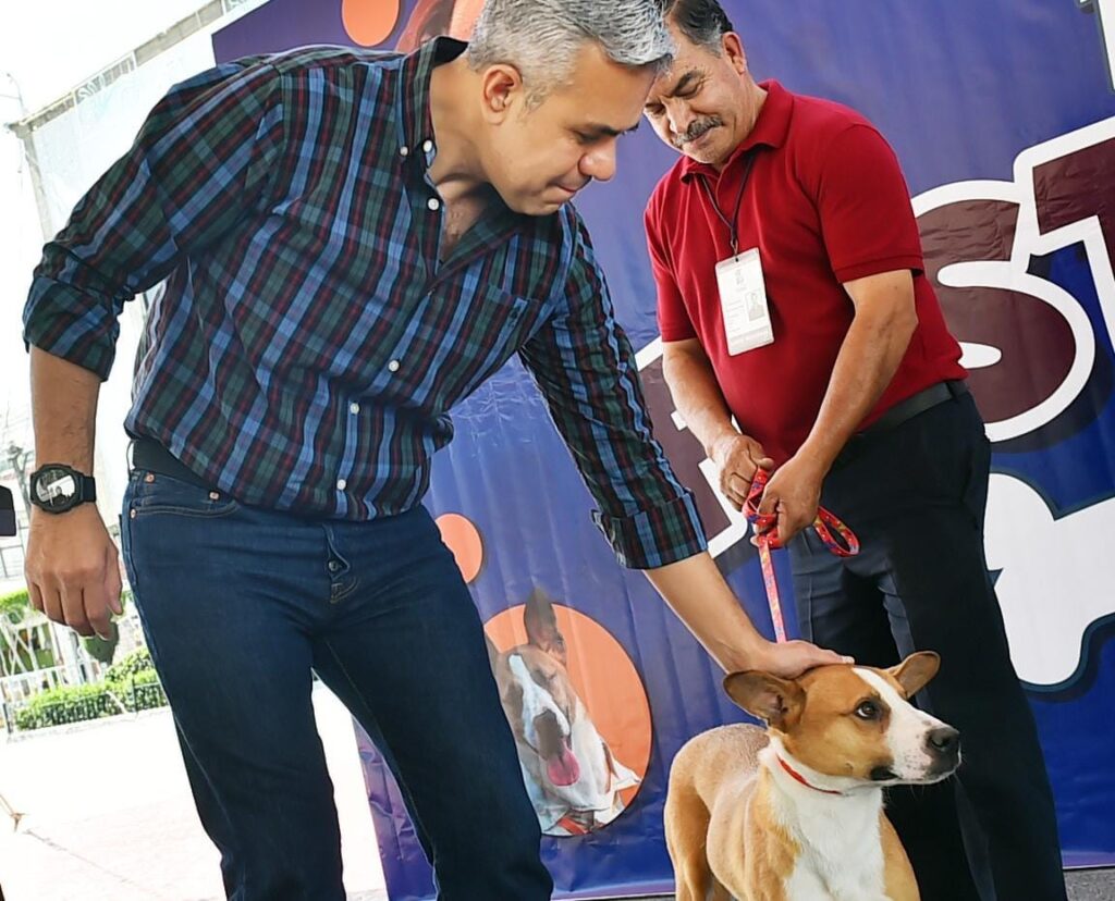 Alcalde de Ecatepec anuncia Célula de Protección Animal para combatir maltrato