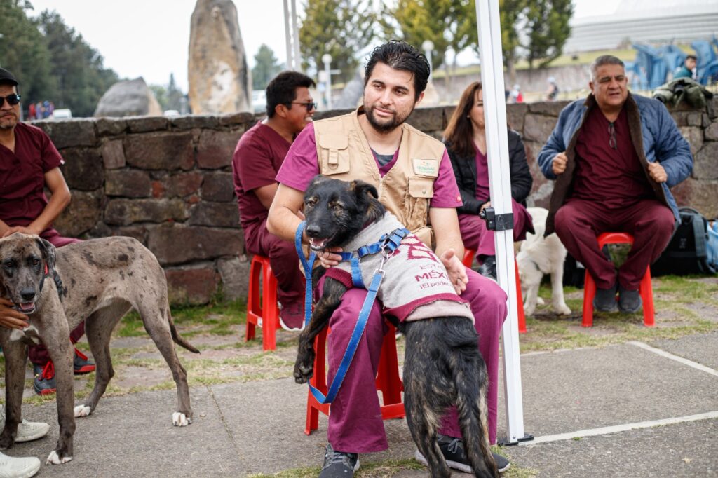 Festival Cultural TransformARTE se une a las campañas de adopción responsable de seres sintientes en el EdoMéx