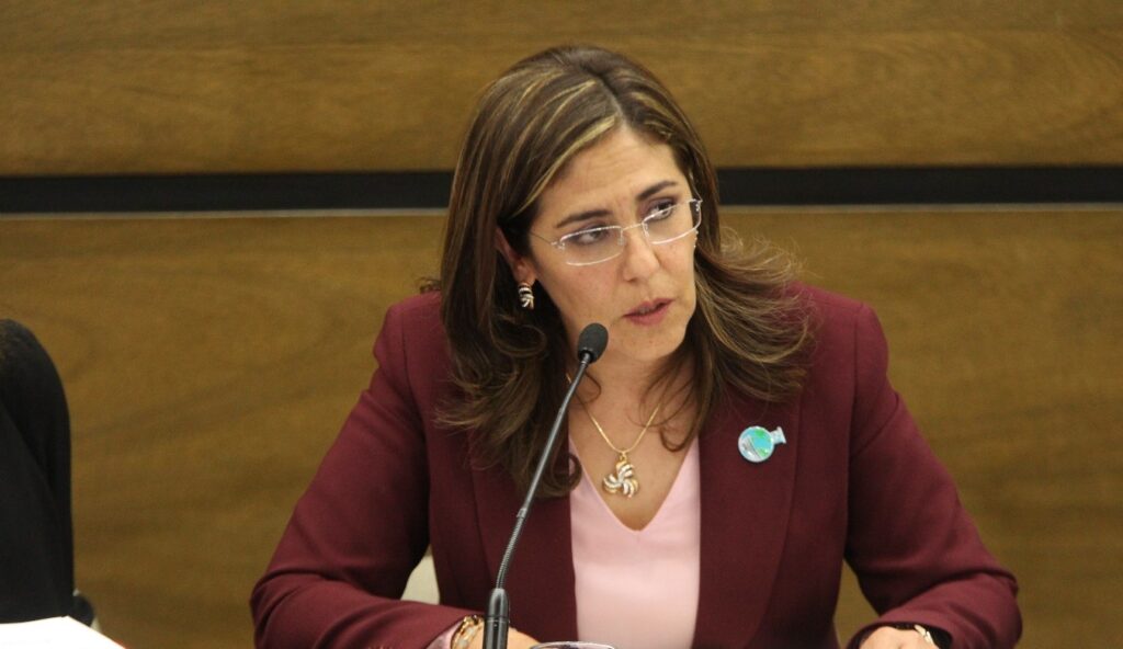 INE investigará a candidatos denunciados por la ciudadanía