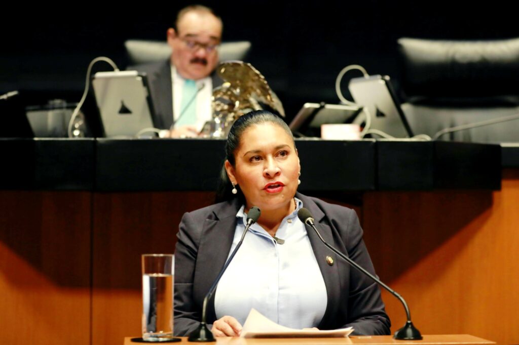 Propone Ana Lilia Rivera duplicar penas y participación de SEDENA contra el delito de tala ambiental