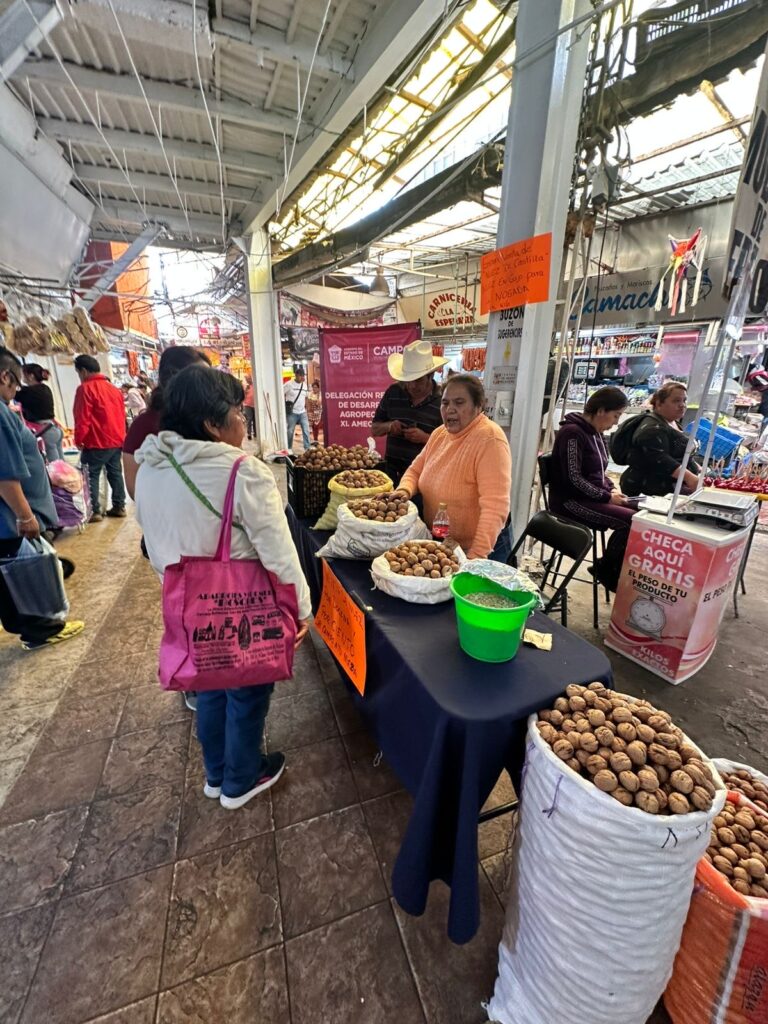 Del campo a tu mesa: GEM y Central de Abasto de Ecatepec darán espacios gratuitos a productores de nuez de Castilla