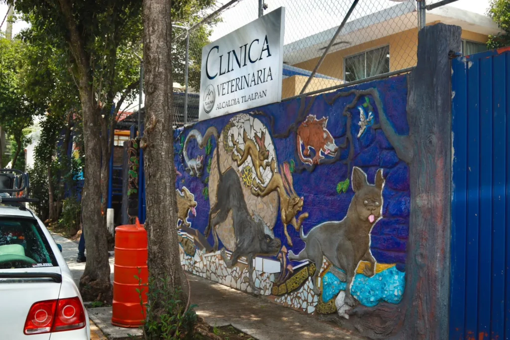 Gaby Osorio conmemora el Día del Médico Veterinario