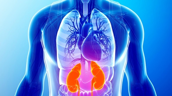 Síndrome que daña corazón, riñones y metabolismo va en aumento: expertos