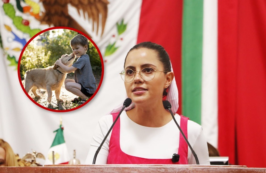 Aprueba Congreso CDMX reforma para prohibir la discriminación contra infancias y seres sintientes en el acceso a la vivienda