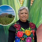 Llama la diputada Juana María Juárez a tomar acciones urgentes para salvaguardar las terrazas agrícolas del sur de la ciudad