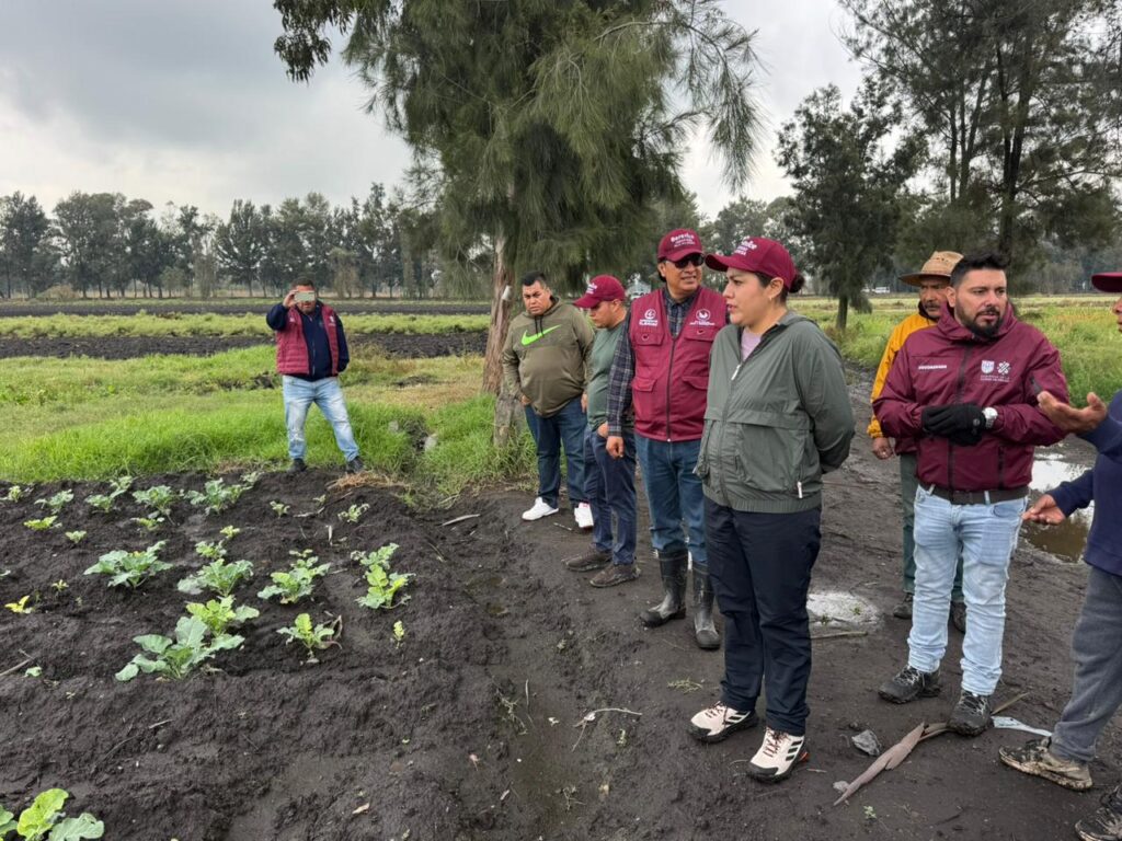 Recorre Alcaldesa zona del ejido de San Andrés Mixquic