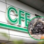 Comprometidos con la transparencia, la CFE concluye proceso de contratación de carbón mineral para centrales termoeléctricas de Coahuila