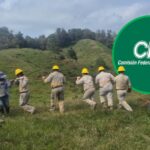 CFE restablece el suministro al 98.72% de los afectados en Puebla, Hidalgo, Veracruz, San Luis Potosí y Querétaro