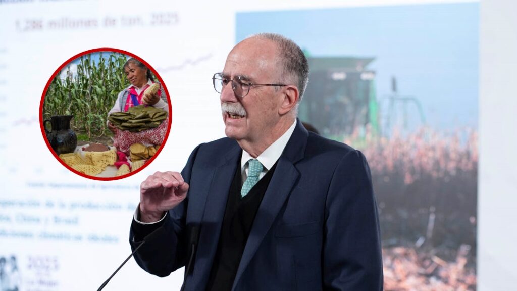 Anuncia Sader apoyos a productores de maíz