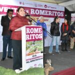 Arranca venta de romerito de San Andrés Mixquic en la central de abasto