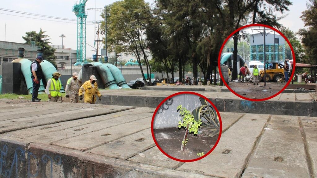 Más de 118 acciones de reordenamiento urbano y limpieza fortalecen el bienestar en Iztacalco