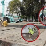 Más de 118 acciones de reordenamiento urbano y limpieza fortalecen el bienestar en Iztacalco