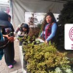 En Tláhuac promueven la cultura del reciclaje con el programa “Árbol por Árbol“