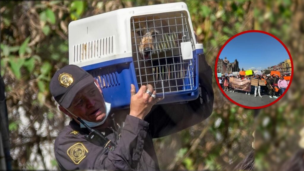 Gobierno de la CDMX condiciona nuevas mesas de diálogo y cuestiona protestas del Refugio Franciscano