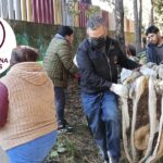 La Magdalena Contreras realiza limpieza de barrancas para evitar inundaciones y deslaves ante la próxima temporada de lluvias