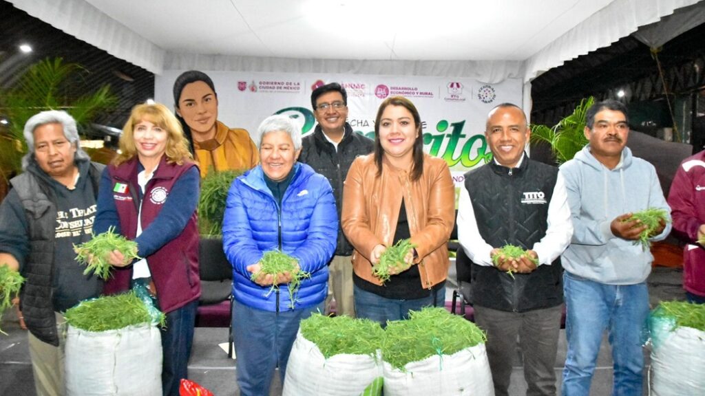 Arranca la Temporada de Romeritos en la Central de Abasto