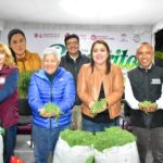 Arranca la Temporada de Romeritos en la Central de Abasto