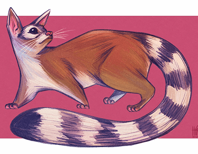 Gobierno del EdoMéx invita a tus peques a participar en el concurso de dibujo “Eco-Diviértete 2026”