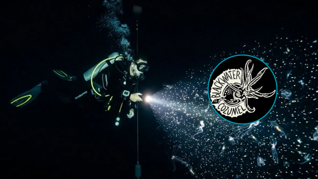 Blackwater Cozumel: un vistazo a la vida marina de las profundidades